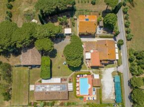 Il Pino - appartamento Tiglio Cecina